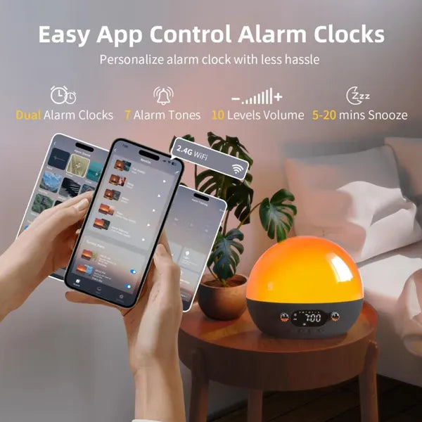SunnieSun Sunrise Alarm Clocks