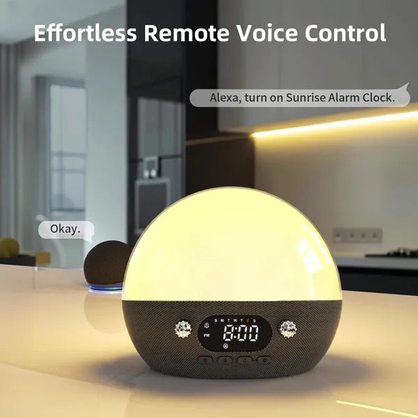 SunnieSun Sunrise Alarm Clocks