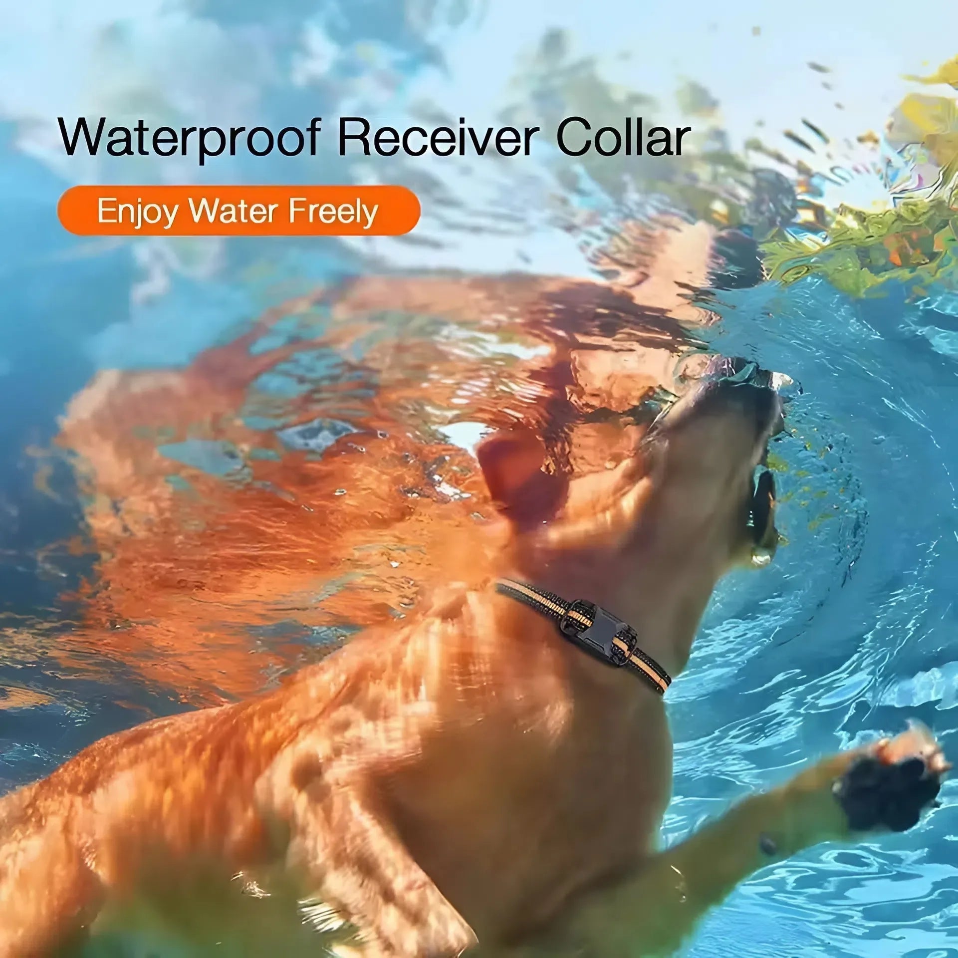 Snipook Shock Collars for Dogs